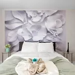 Exclusive Flat In Center City
